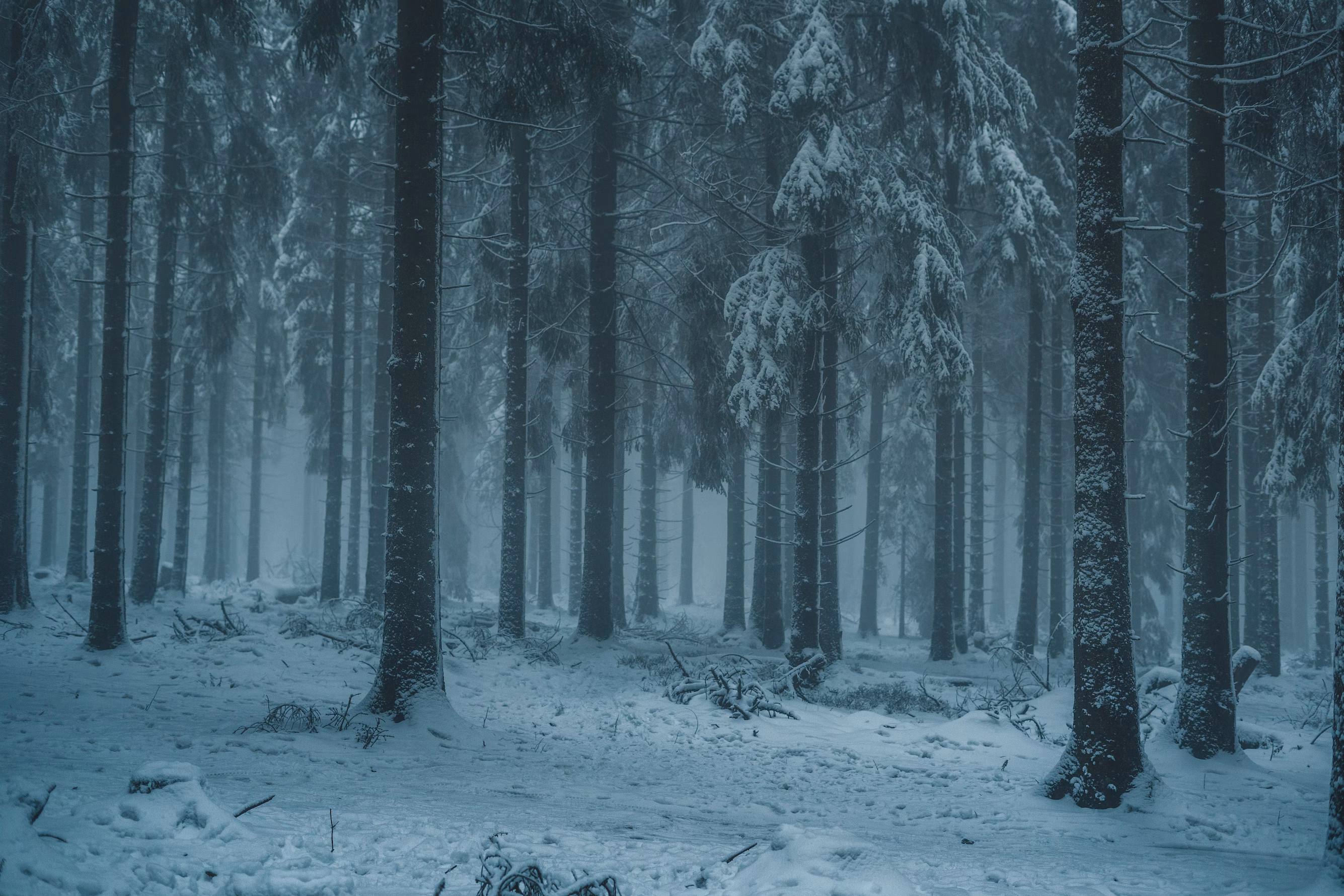 Wood with snow background